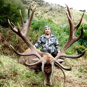 394" Inch Red Stag Hunt New Zealand