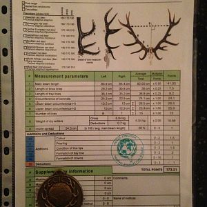 UK CIC score card for Red Stag