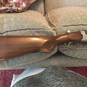 Beretta Silver Pigon in 12 gauge Shotgun