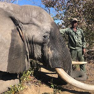 Hunting Elephant in Namibia
