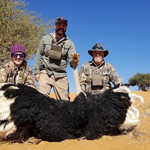 Namibia Hunt Ostrich