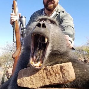 Namibia Hunting Baboon
