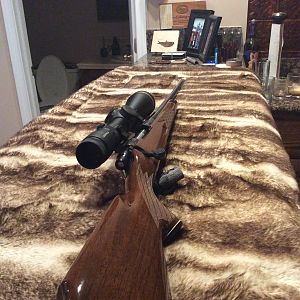 .300 Remington Ultra Magnum Rifle
