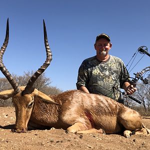 Impala Bow Hunting South Africa