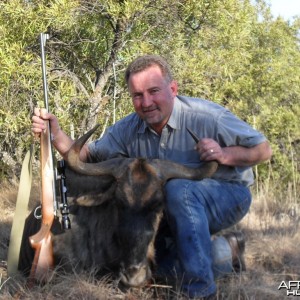Hunting Blue Wildebeest South Africa