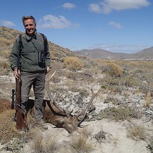 Red Deer Hunting