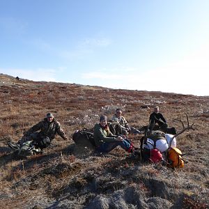 Hunt Caribou in Greenland