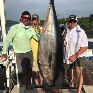 Fishing Yellowfin Tuna in Panamá