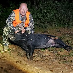 USA Hunting Hog