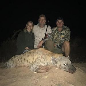 Spotted Hyena Hunt Zimbabwe
