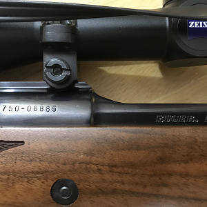 Ruger 77 Magnum Rifle in .375 H&H With Xeiss 2-7 Scope