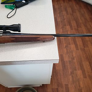 Remington Classic 35 Whelen Rifle