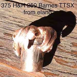 375 H&H 250 Barnes TSX Bullet Performance