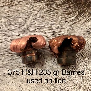 375 H&H 235 Barnes TSX Bullet Performance