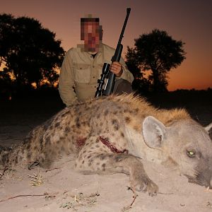 Spotted Hyena Hunting