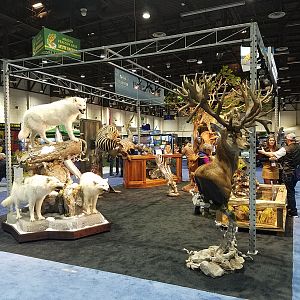 Wolves  Full Mount & Red Stag Pedestal Mount Taxidermy at Safari Club International (SCI) Convention Reno 2020