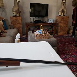 Winchester Model 70 Rifle in 300 Weatherby
