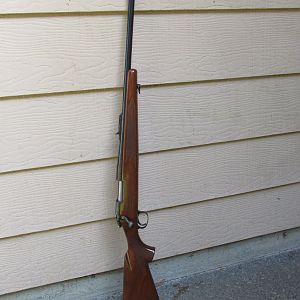 308 Winchester Rifle