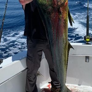Costa Rica Fishing Dorado