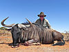 14-beto-was-guided-by-ph-frikkie-nieuwoudt-to-this-huge-record-book-blue-wildebeest-bull.jpg
