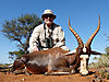 1m-common-blesbuck.jpg