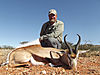 33b-note-the-pronk-standing-up-on-this-common-springboks-back.jpg