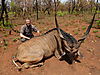 52_5inch_Eland.JPG