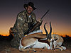 54-herbert-common-springbok.jpeg