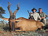 62a-red-hartebeest-luis-ph-calvin.jpg