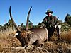 7-8-11_Waterbuck.jpg