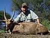 BUSHBUCK_2_SAVANNA_HUNTING_SAFARIS.jpg