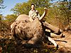Botswana_Elephant_-_2.JPG