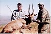 Bushbuck_Gerald_.jpg