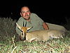 Common_Bush_Duiker_1.JPG