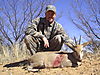 DUIKER_COMMON_1_SAVANNA_HUNTING_SAFARIS.jpg