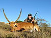 Dad_s_Lechwe_Bull.jpg