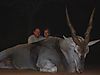 ELAND_3_SAVANNA_HUNTING_SAFARIS1.jpg