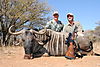 Ed_Blue_Wildebeest.mov