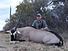 Gemsbok_20102.JPG