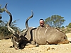 Kudu49.jpg