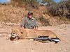 LION_14_SAVANNA_HUNTING_SAFARIS.jpg