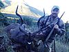 My_2nd_Kudu_Bull_44_inches.jpg