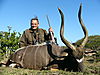 NYALA_4_SAVANNA_HUNTING_SAFARIS.jpg