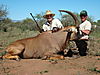 ROAN_2_SAVANNA_HUNTING_SAFARIS.jpg