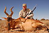 Red_Hartebeest_Jake_Sienko_.JPG