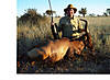 Red_hartebeest_1_Namibia.jpg