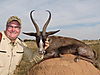 Springbuck_Black_Dan_Burkes.JPG