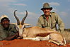 Springbuck_Common_Clemente_Ciphas.JPG