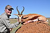 Springbuck_Common_Dan_Burkes_.JPG