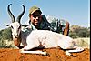 Springbuck_White_Mike_Petersen_.JPG